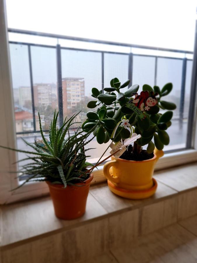 Cozy Apartment Arad Kültér fotó