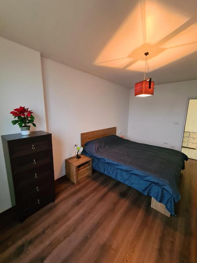 Cozy Apartment Arad Kültér fotó