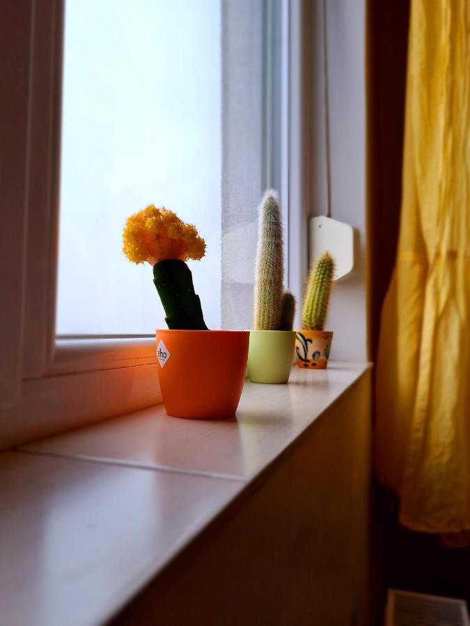 Cozy Apartment Arad Kültér fotó