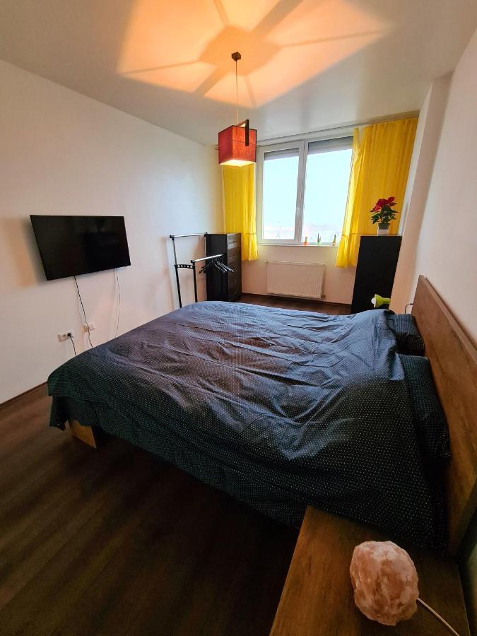 Cozy Apartment Arad Kültér fotó